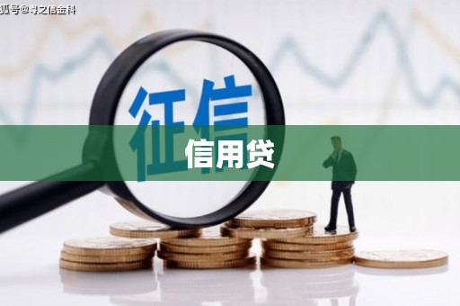 萨尔图信用贷