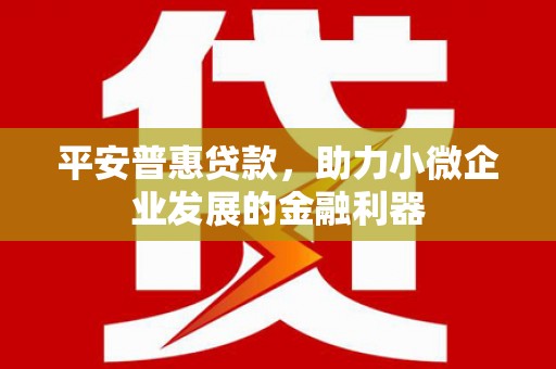 萨尔图平安普惠贷款，助力小微企业发展的金融利器